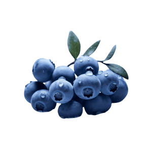 Blueberry Frozen